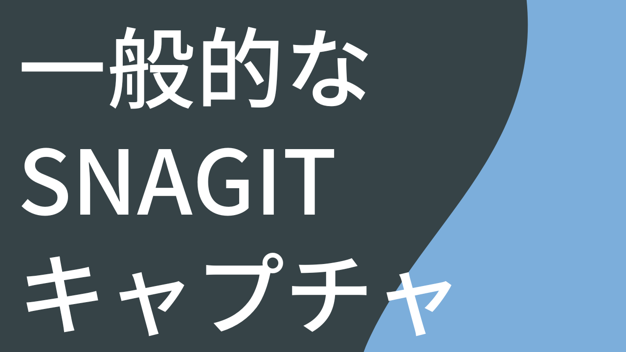 一般的な Snagit キャプチャ