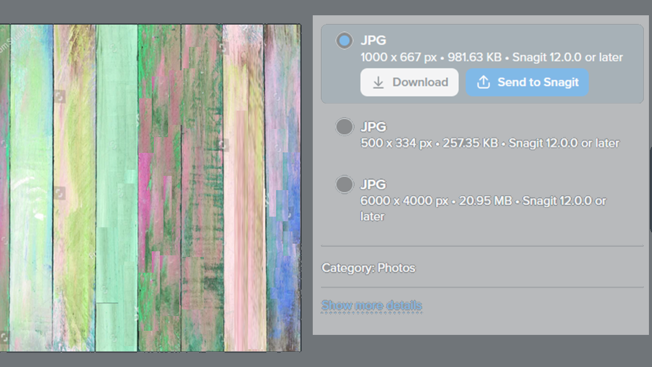 Snagit Assets をダウンロードする